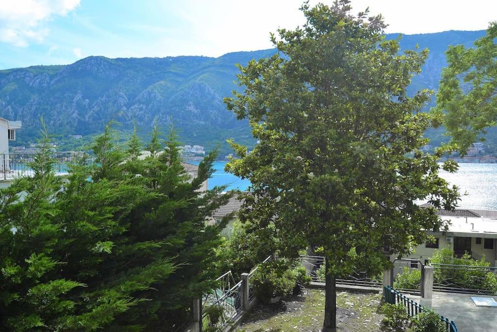 Apartmán Urban Escape For Two In Kotor Exteriér fotografie